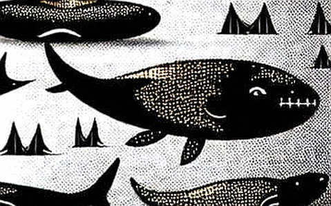 Cú lừa thể thao trong crypto: Khi Liverpool không giúp bạn kiếm tiền Cú lừa thể thao trong crypto: Khi Liverpool không giúp bạn kiếm tiền